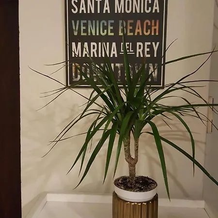 Martas Street * Riga